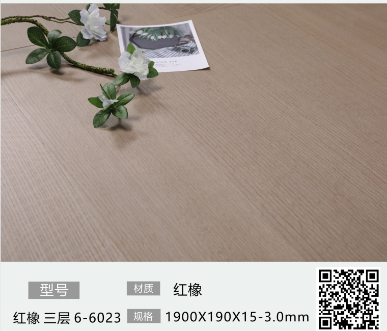 红橡6-6023-1.jpg